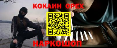 apvp Бийск