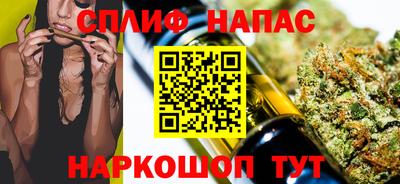 индика Беслан