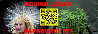 индика Беслан