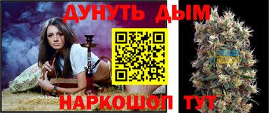 индика Беслан