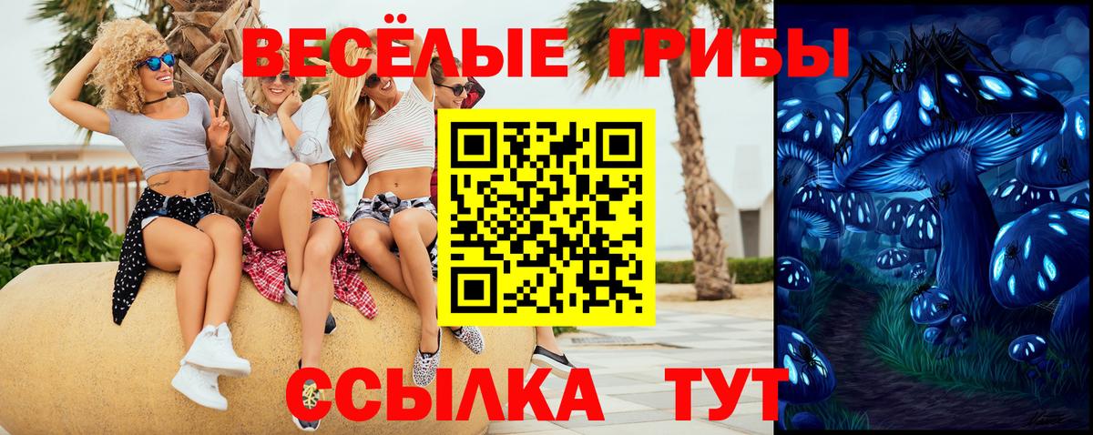 Псилоцибиновые грибы Cubensis Калач-на-Дону