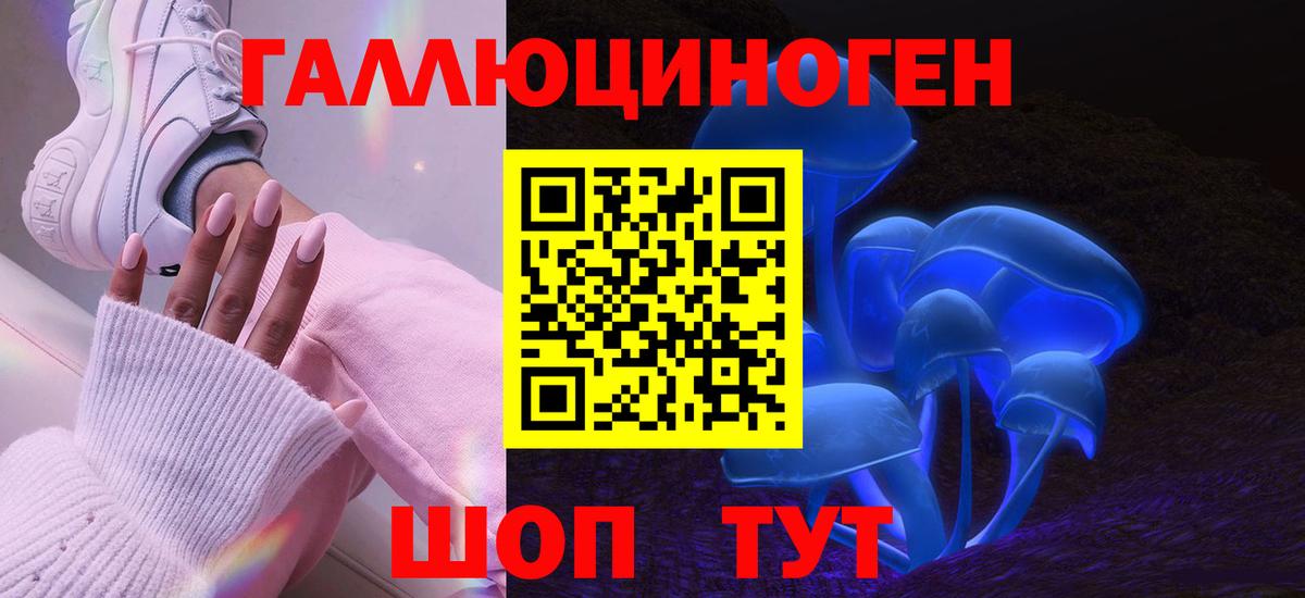 Калач-на-Дону  Псилоцибиновые грибы Psilocybine cubensis  закладка  Вход с VPN 